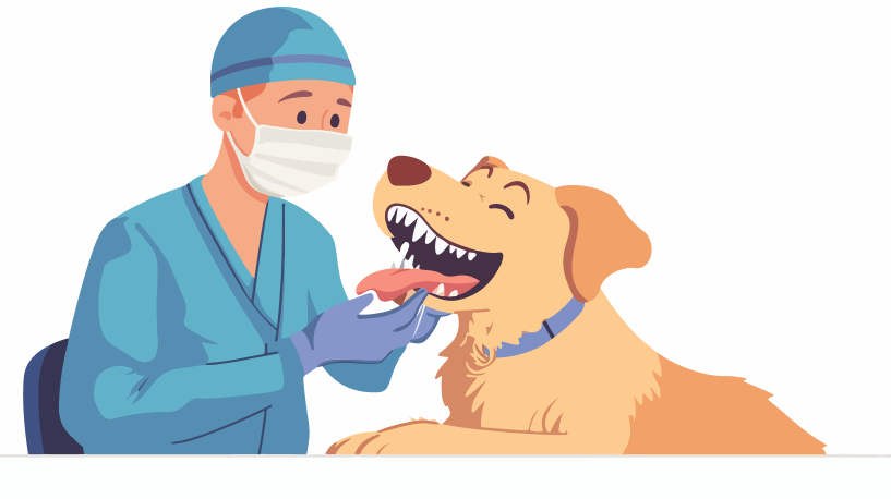 Team Photo Placeholder